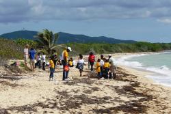 Several schools participated at the eco field day at Sandy Point hosted by SEA. Several schools participated at the eco field day at Sandy Point hosted by SEA.